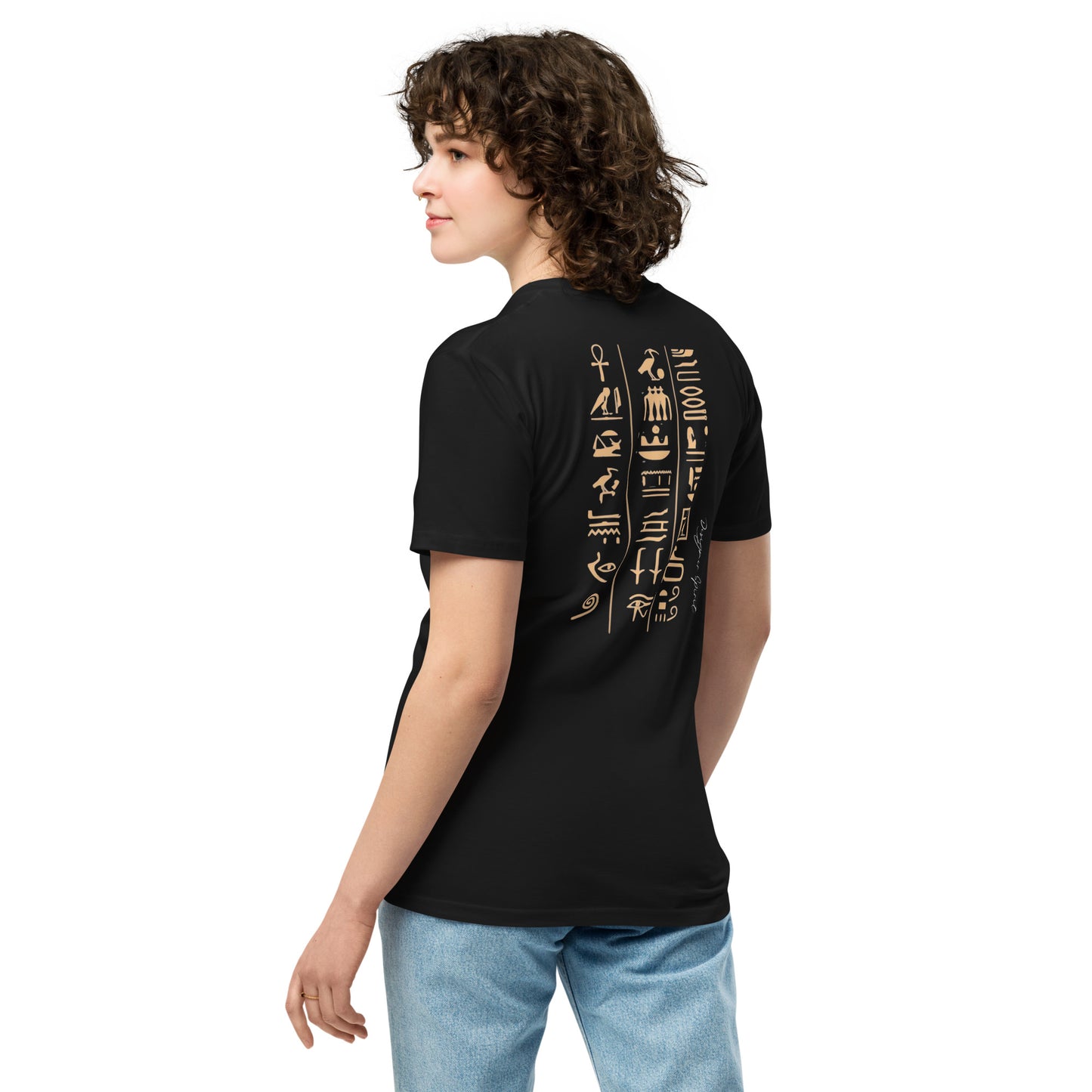 Egyptian Hieroglyphics Unisex premium t-shirt