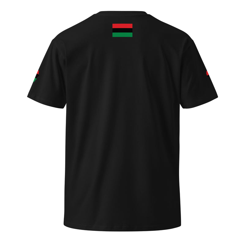 Africa Unisex premium t-shirt