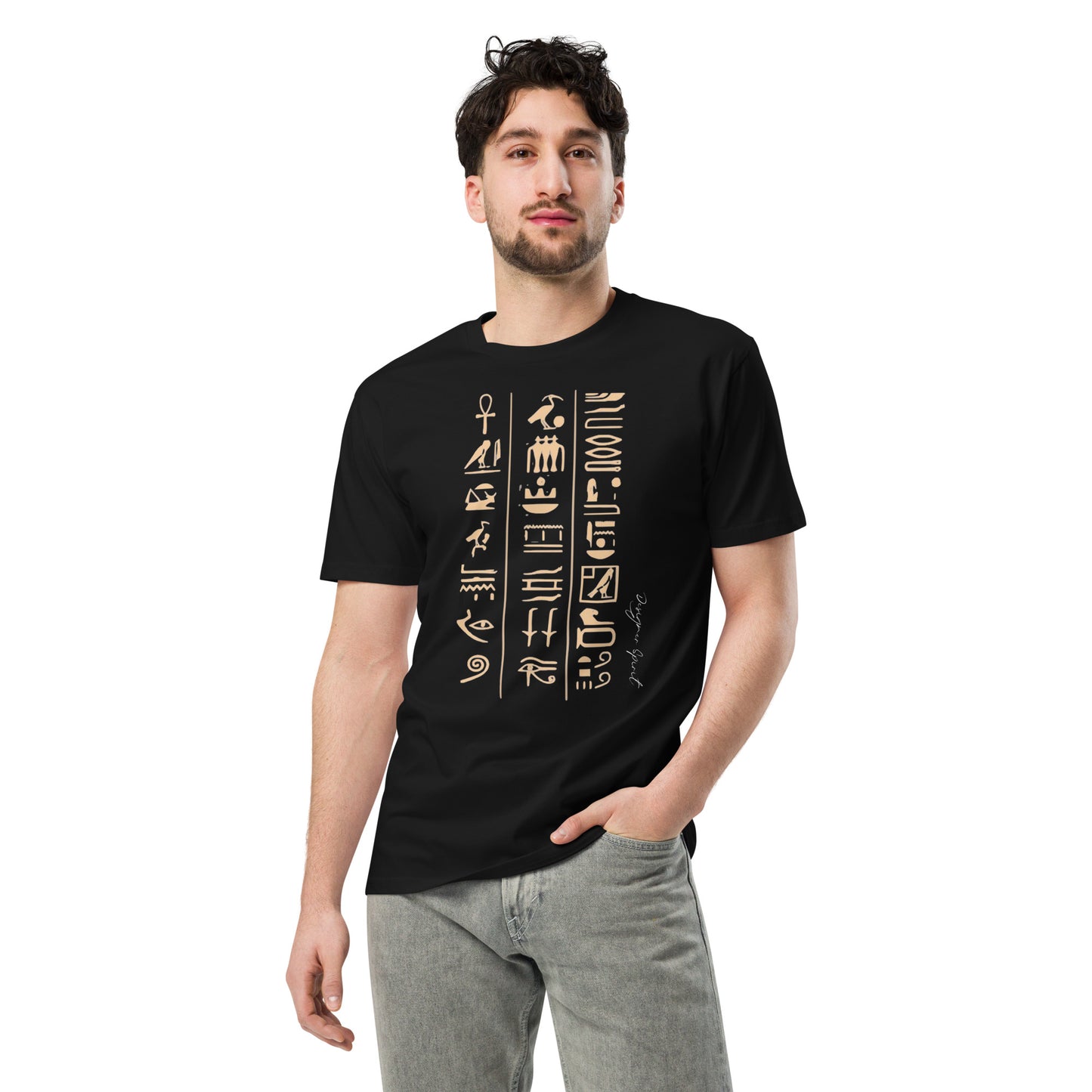 Egyptian Hieroglyphics Unisex premium t-shirt