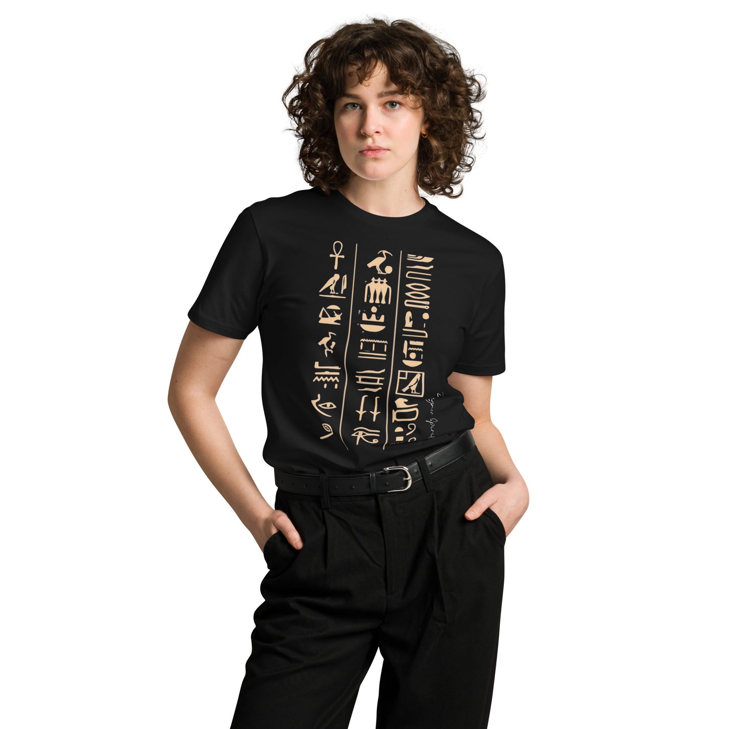 Egyptian Hieroglyphics Unisex premium t-shirt