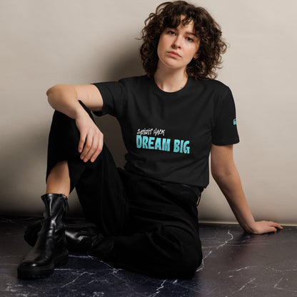 Spirit Hack Dream Big Unisex premium t-shirt