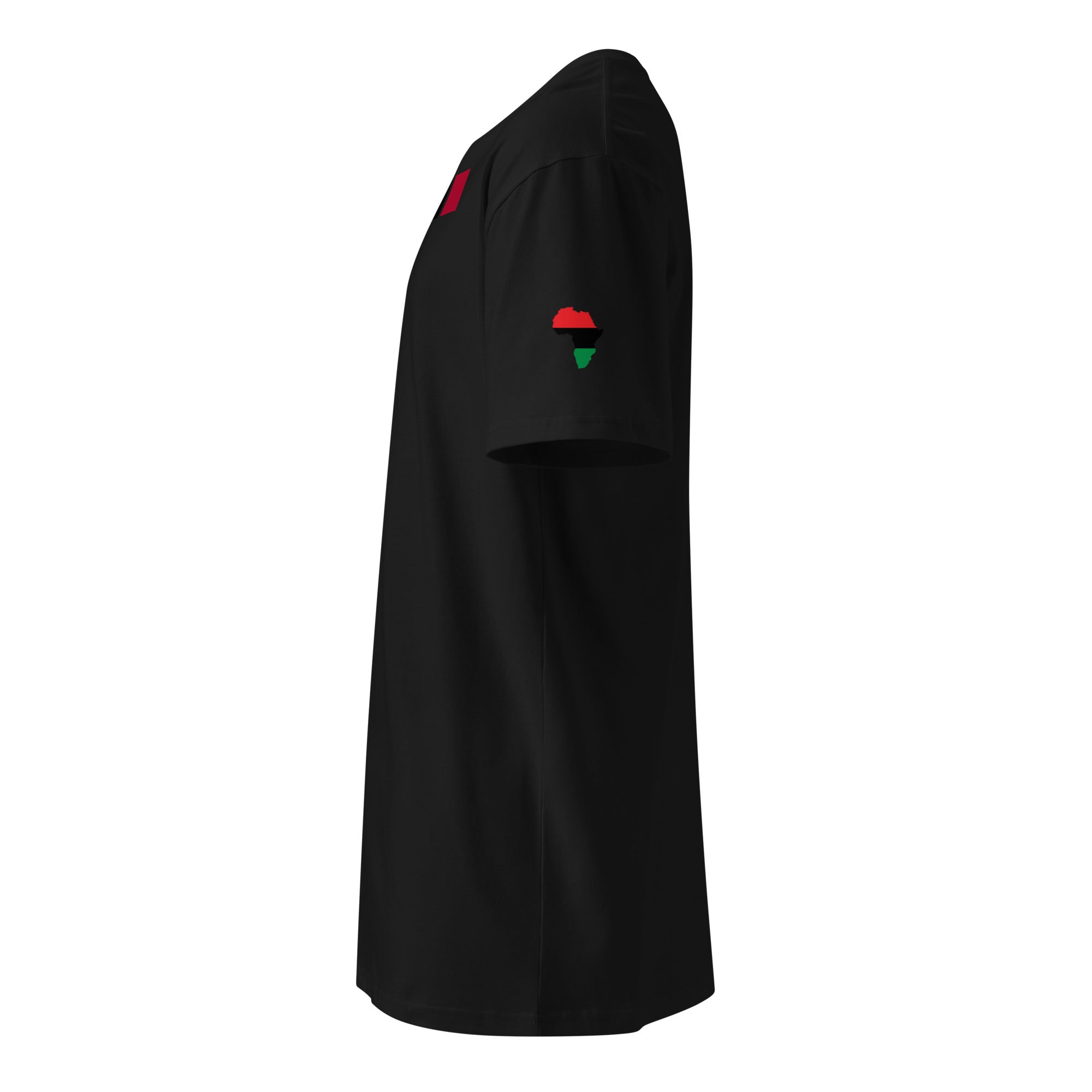 Africa Unisex premium t-shirt