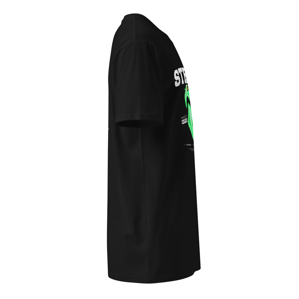 Street Culture Unisex premium t-shirt