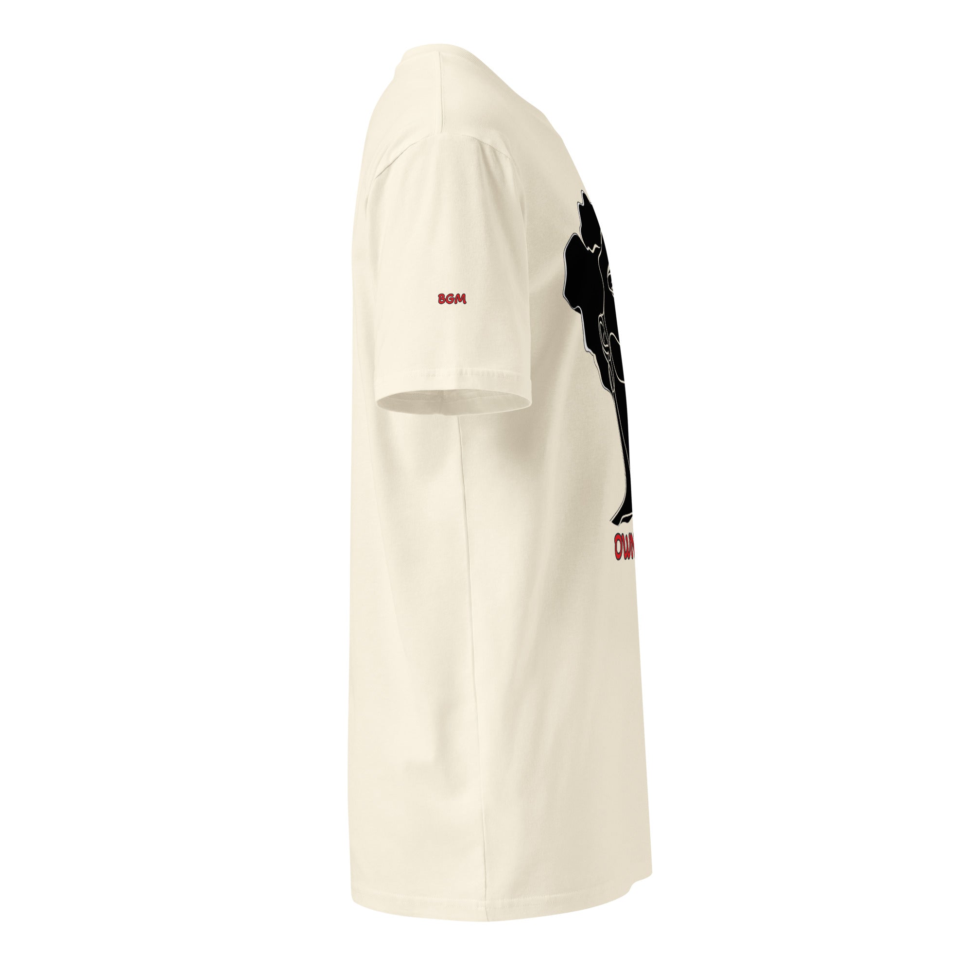 Know Your Power premium t-shirt