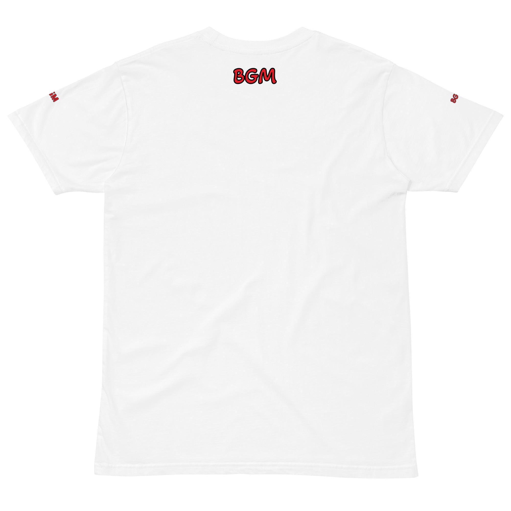 Know Your Power premium t-shirt