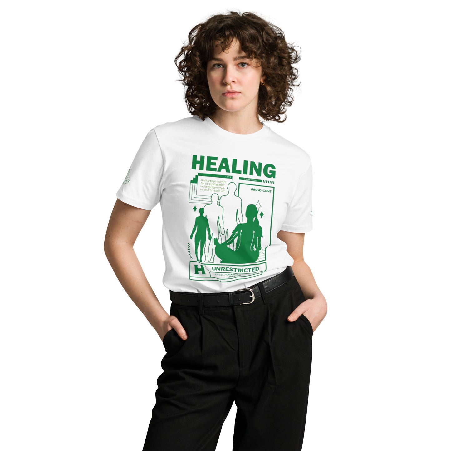 Healing Begins Within Unisex premium t-shirt