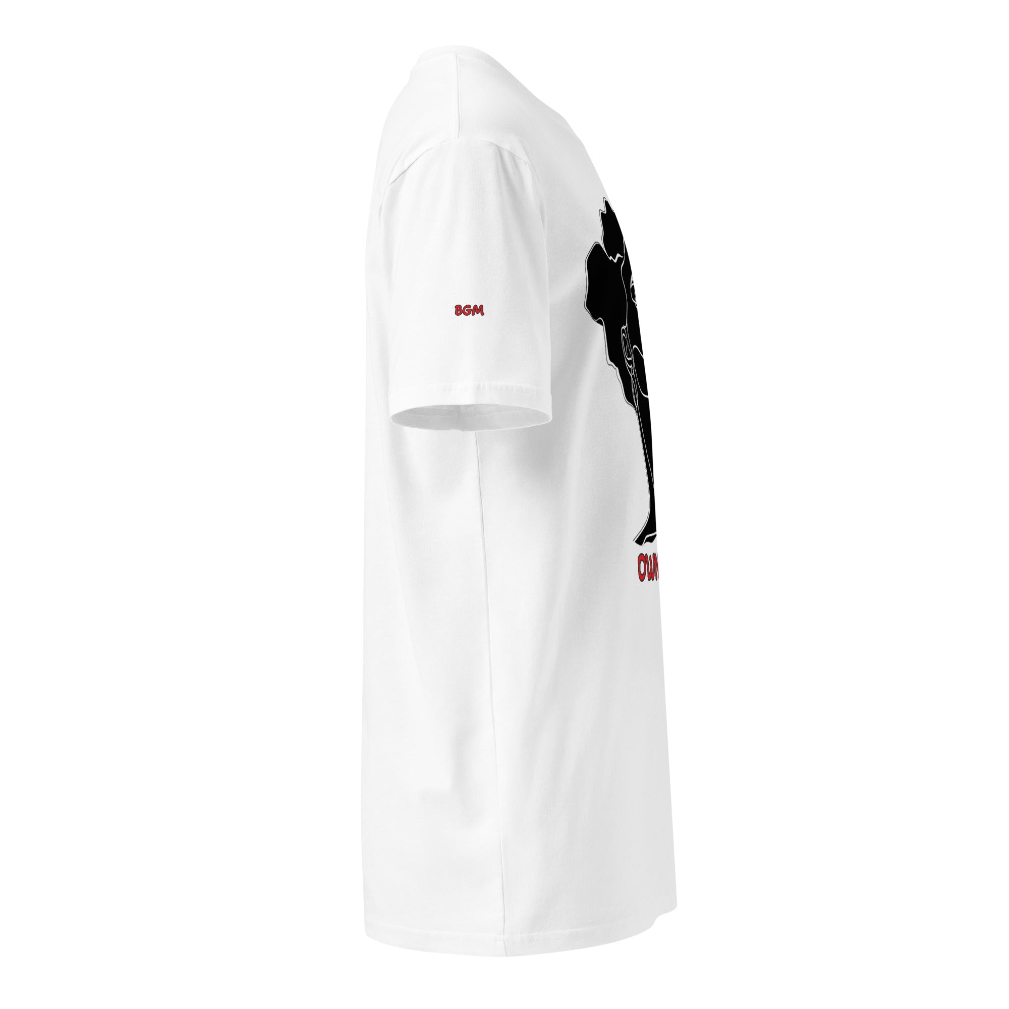 Know Your Power premium t-shirt