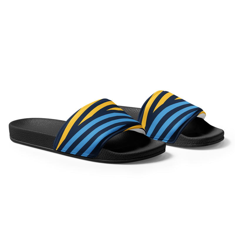 Blue and Yellow Women's slides