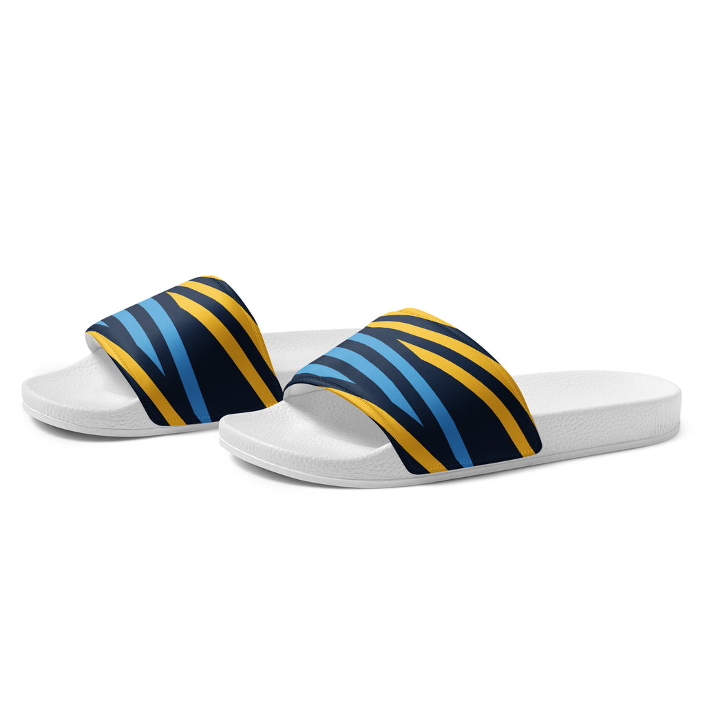 Blue and Yellow Women's slides