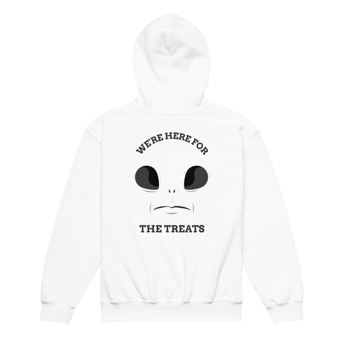 Here for the Treats Youth heavy blend hoodie