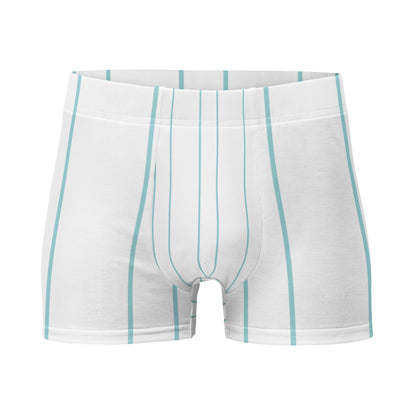 Stripes Print Boxer Briefs