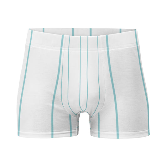 Stripes Print Boxer Briefs