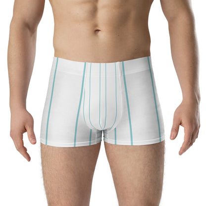 Stripes Print Boxer Briefs