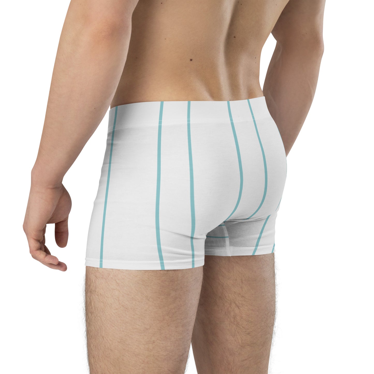 Stripes Print Boxer Briefs