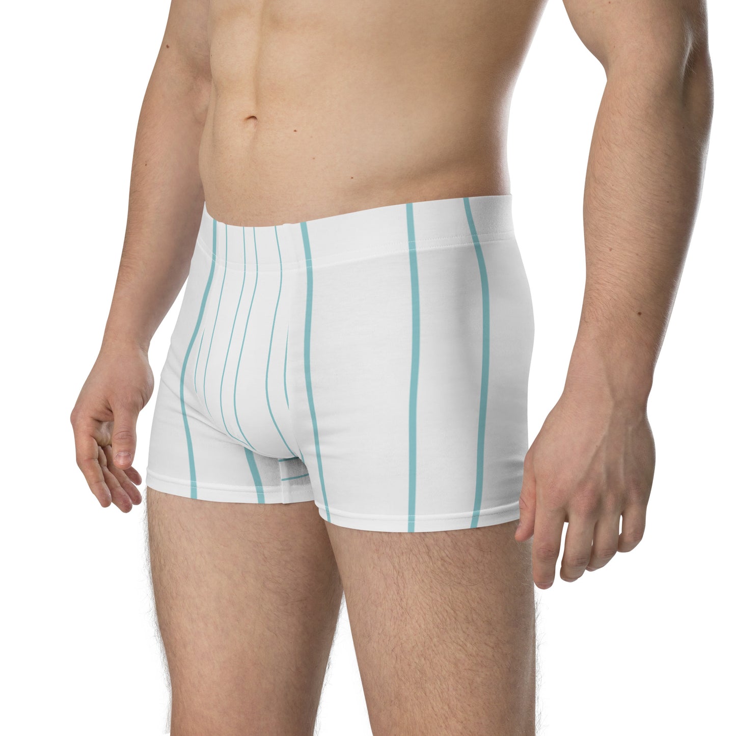 Stripes Print Boxer Briefs