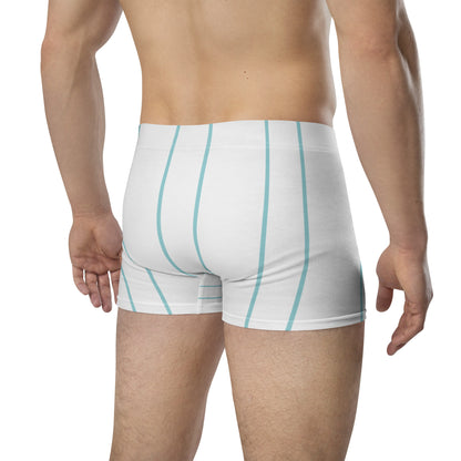 Stripes Print Boxer Briefs