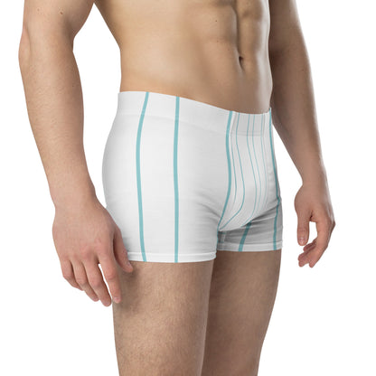 Stripes Print Boxer Briefs